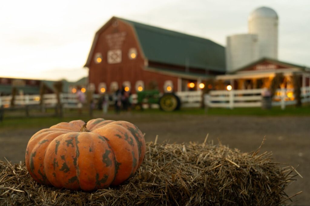 An orange and green pumpkin sits on a bale of hay with a red barn, white fence, and silo in the background at dusk—a perfect New Jersey Halloween date night idea.
