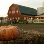 An orange and green pumpkin sits on a bale of hay with a red barn, white fence, and silo in the background at dusk—a perfect New Jersey Halloween date night idea.