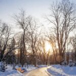 A snow-covered park in New Jersey with bare trees, benches, and a winding path illuminated by the setting sun—perfect for winter activities or cozy winter date ideas.